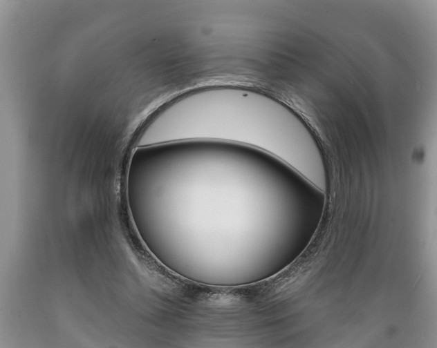 X0000089730348200706210921
