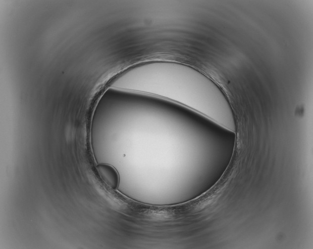 X0000089730349200706210921
