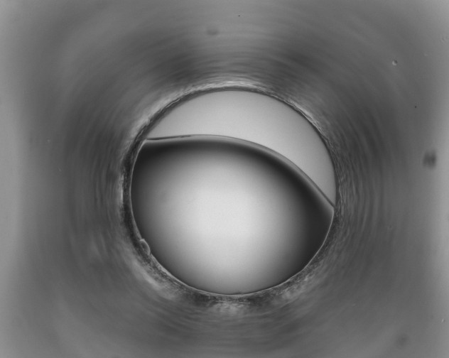 X0000089730350200706210921
