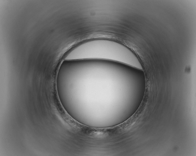 X0000089730352200706210921
