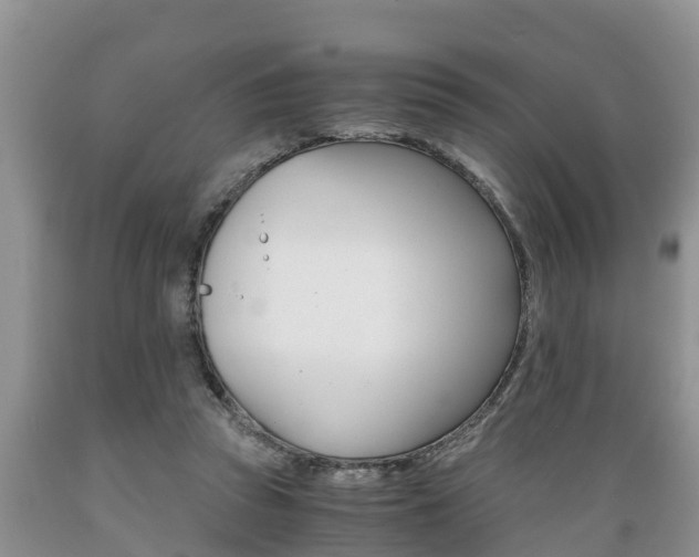 X0000089730353200706210921
