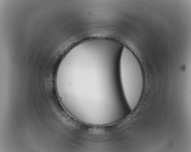 X0000089730354200706210921