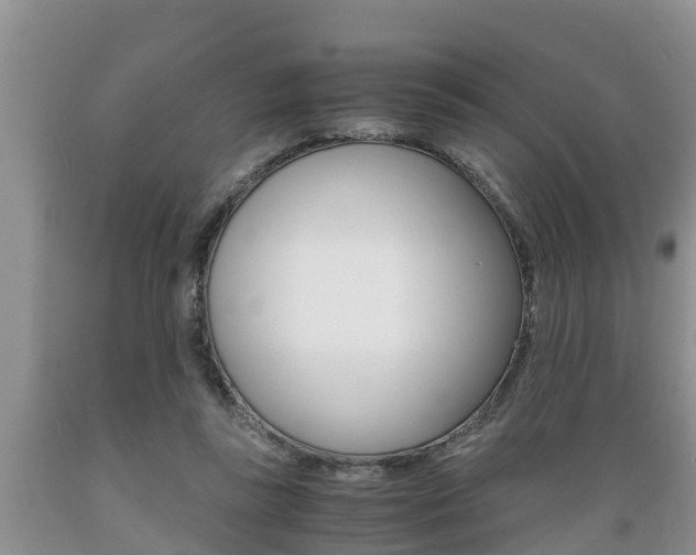 X0000089730355200706210921