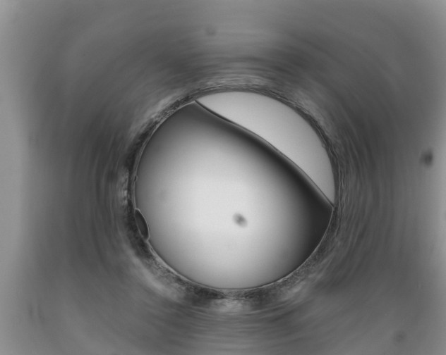 X0000089730356200706210921
