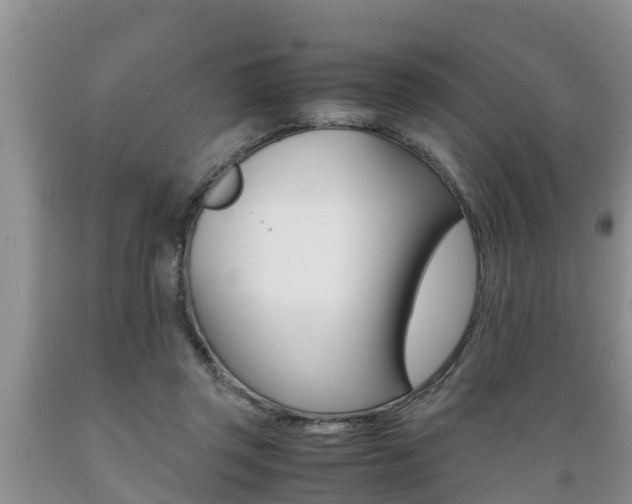 X0000089730357200706210921