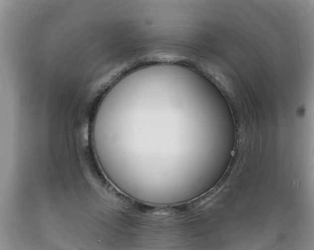 X0000089730358200706210921