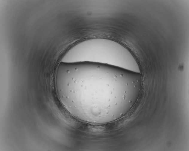 X0000089730359200706210921