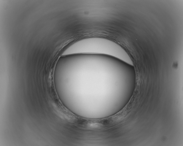 X0000089730360200706210921