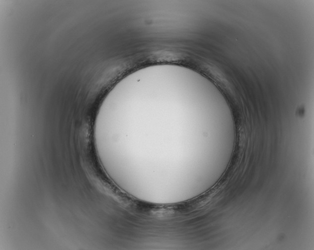 X0000089730362200706210921