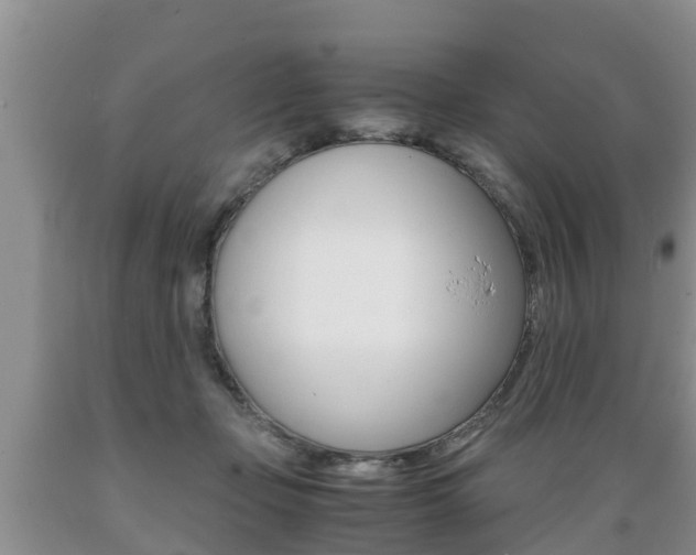 X0000089730365200706210921