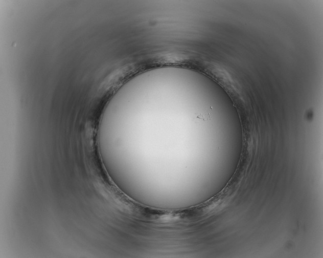 X0000089730366200706210921