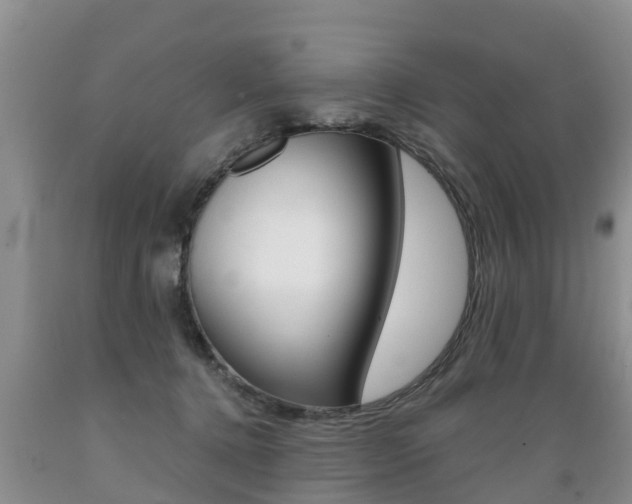 X0000089730368200706210921