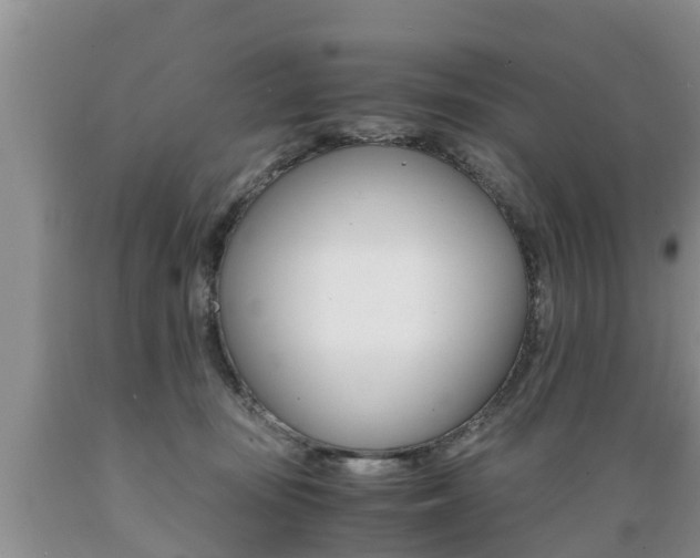 X0000089730371200706210921