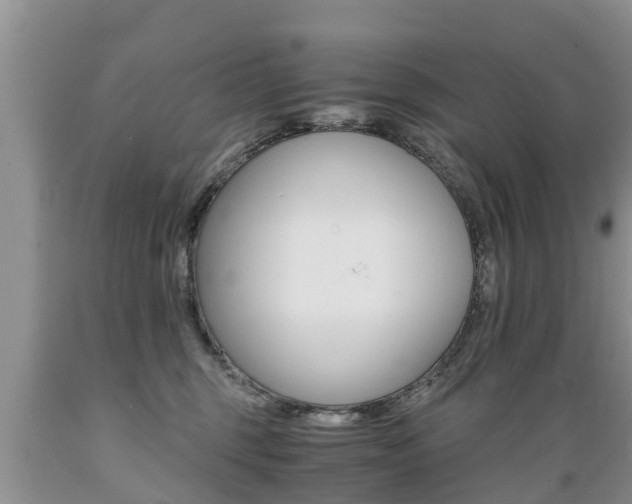 X0000089730375200706210922