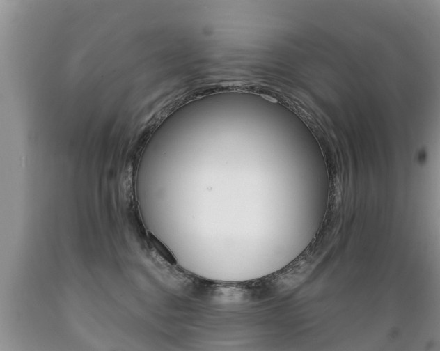 X0000089730376200706210922