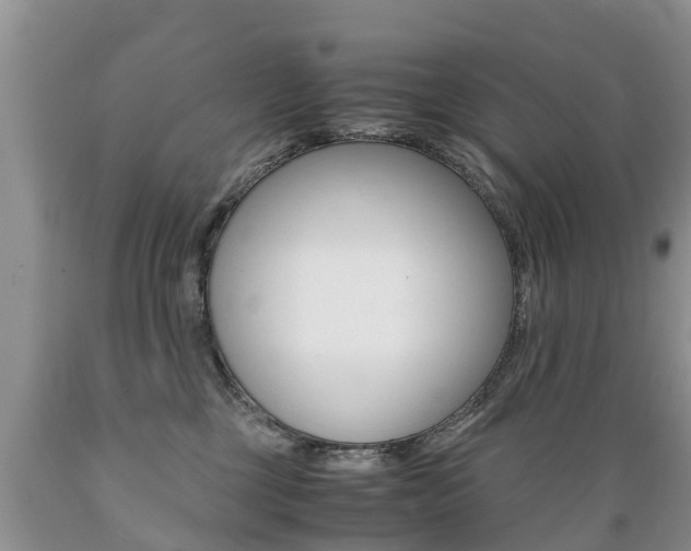 X0000089730377200706210922