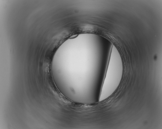 X0000089730379200706210922