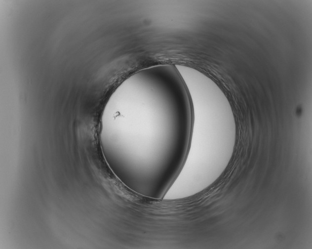 X0000089730380200706210922