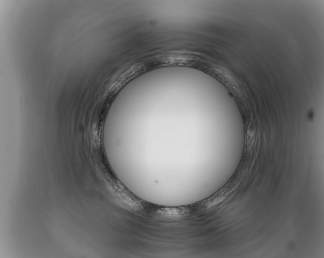 X0000089730381200706210922