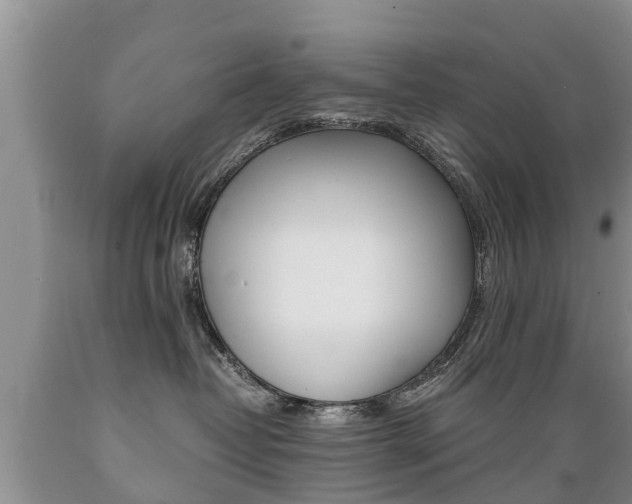X0000089730382200706210922