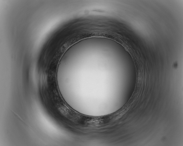 X0000089730383200706210922