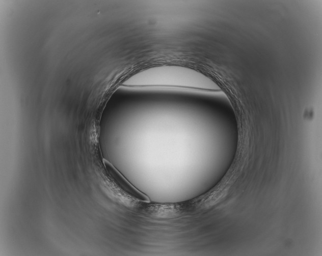 X0000089730384200706210922