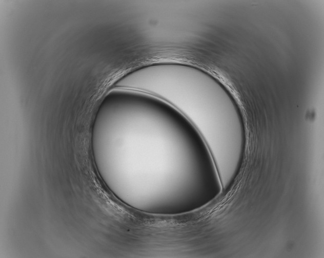 X0000089730385200706210921