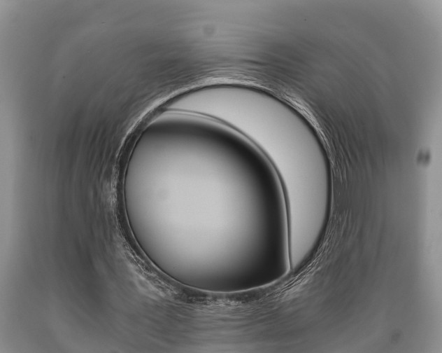X0000089730387200706210921
