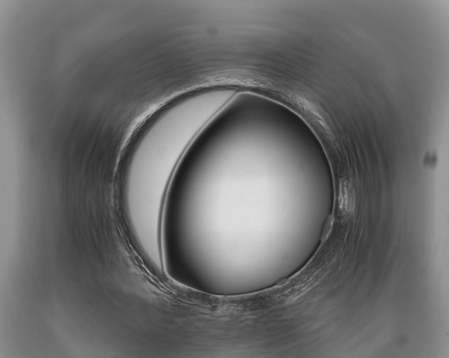 X0000089730388200706210921