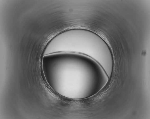 X0000089730389200706210921