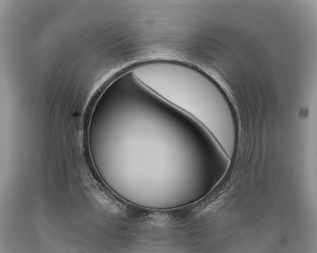 X0000089730391200706210921