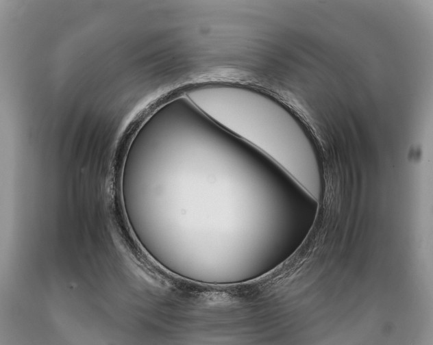 X0000089730392200706210921