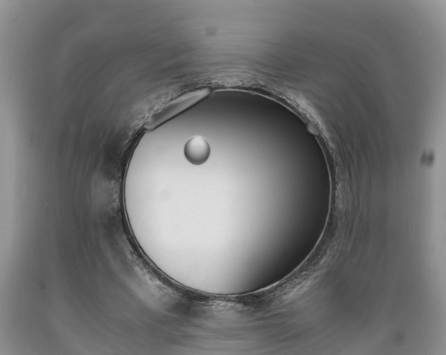 X0000089730393200706210921