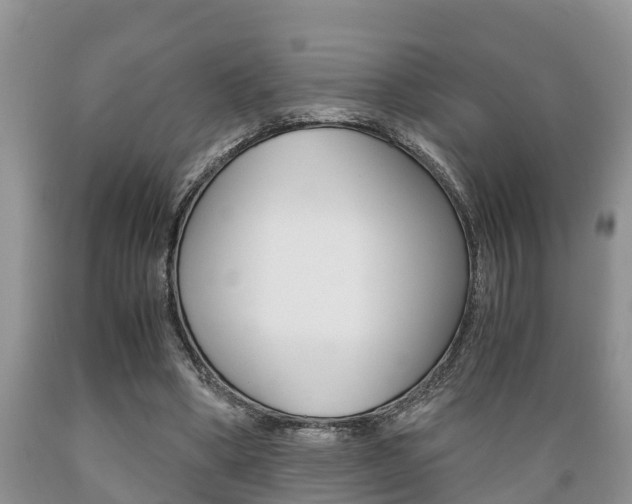 X0000089730394200706210921