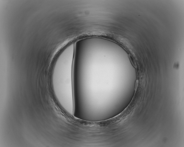 X0000089730395200706210921