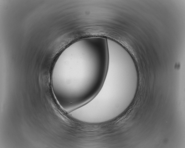 X0000089730397200706210921
