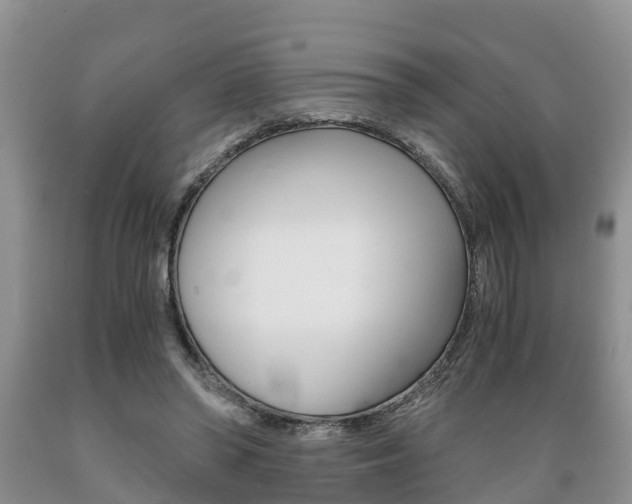 X0000089730398200706210921