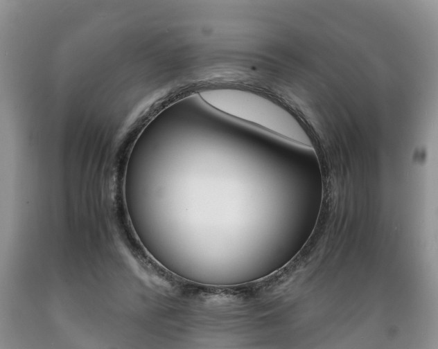 X0000089730400200706210921