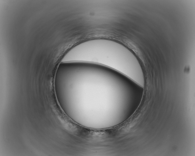 X0000089730401200706210921