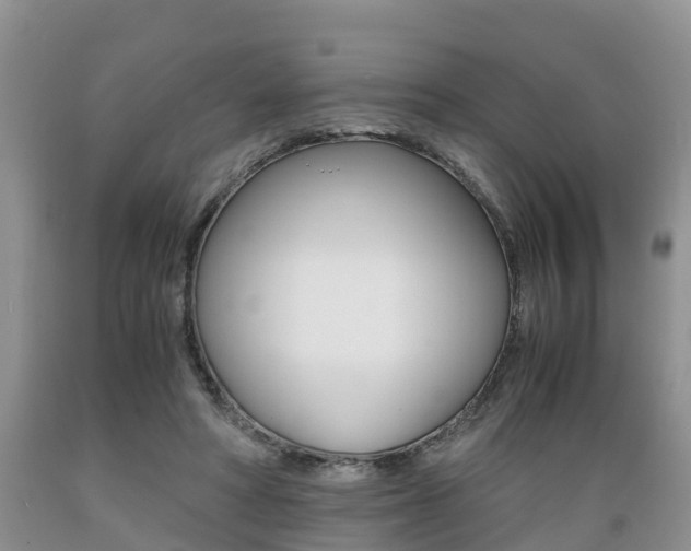 X0000089730402200706210921