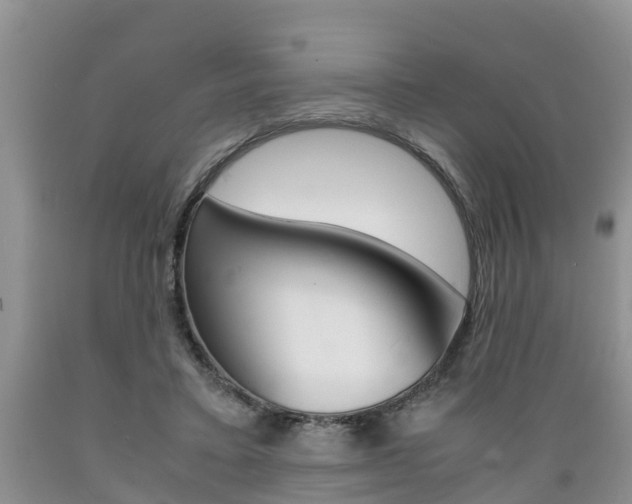 X0000089730403200706210921
