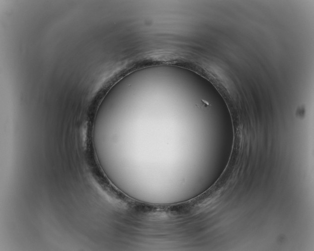 X0000089730404200706210921