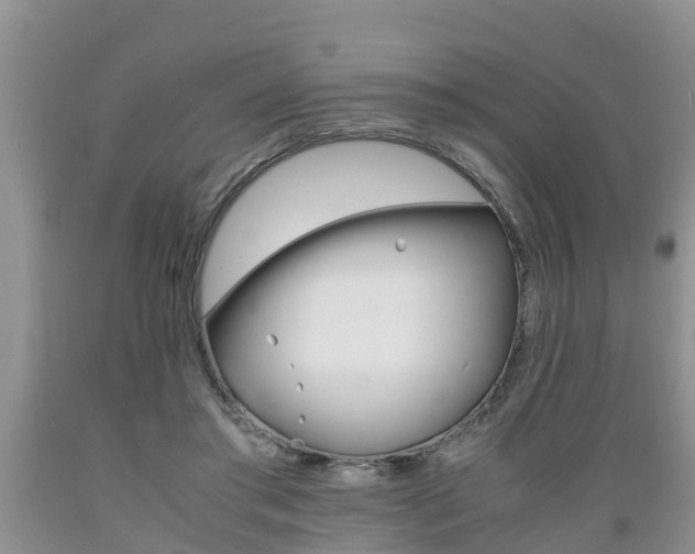 X0000089730405200706210921