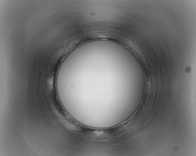 X0000089730406200706210921