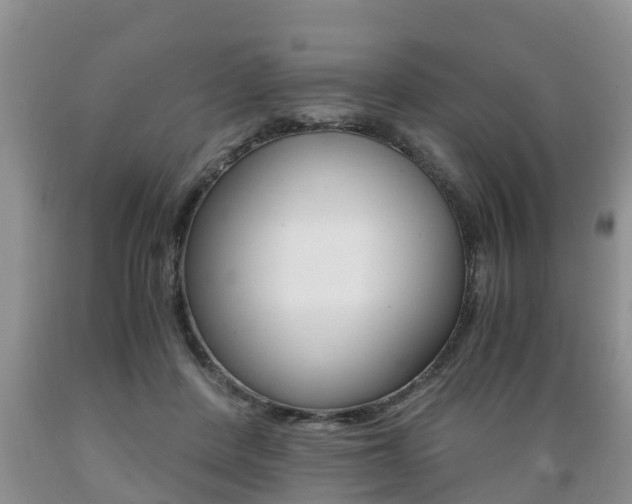 X0000089730408200706210920