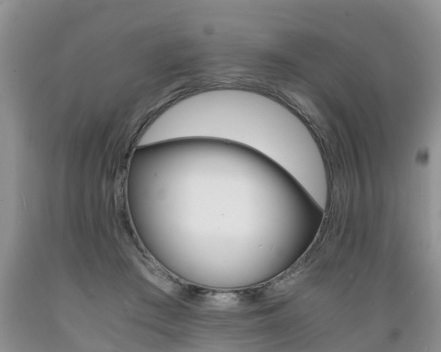 X0000089730409200706210920