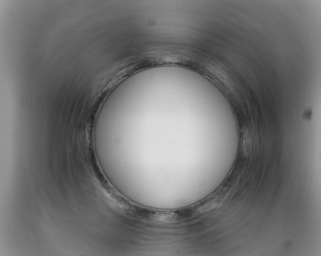 X0000089730410200706210920