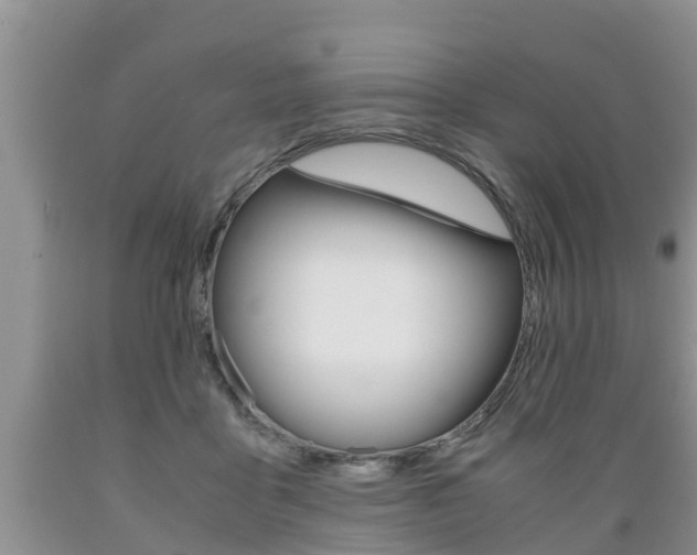 X0000089730411200706210920