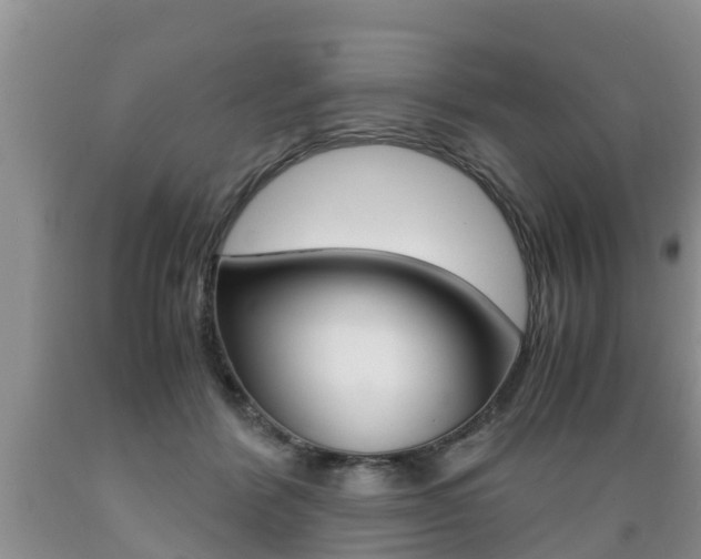 X0000089730412200706210920