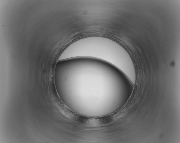 X0000089730413200706210920